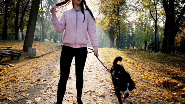 Here's How To Keep Your Dog Busy At Home When The Weather Is Bad
