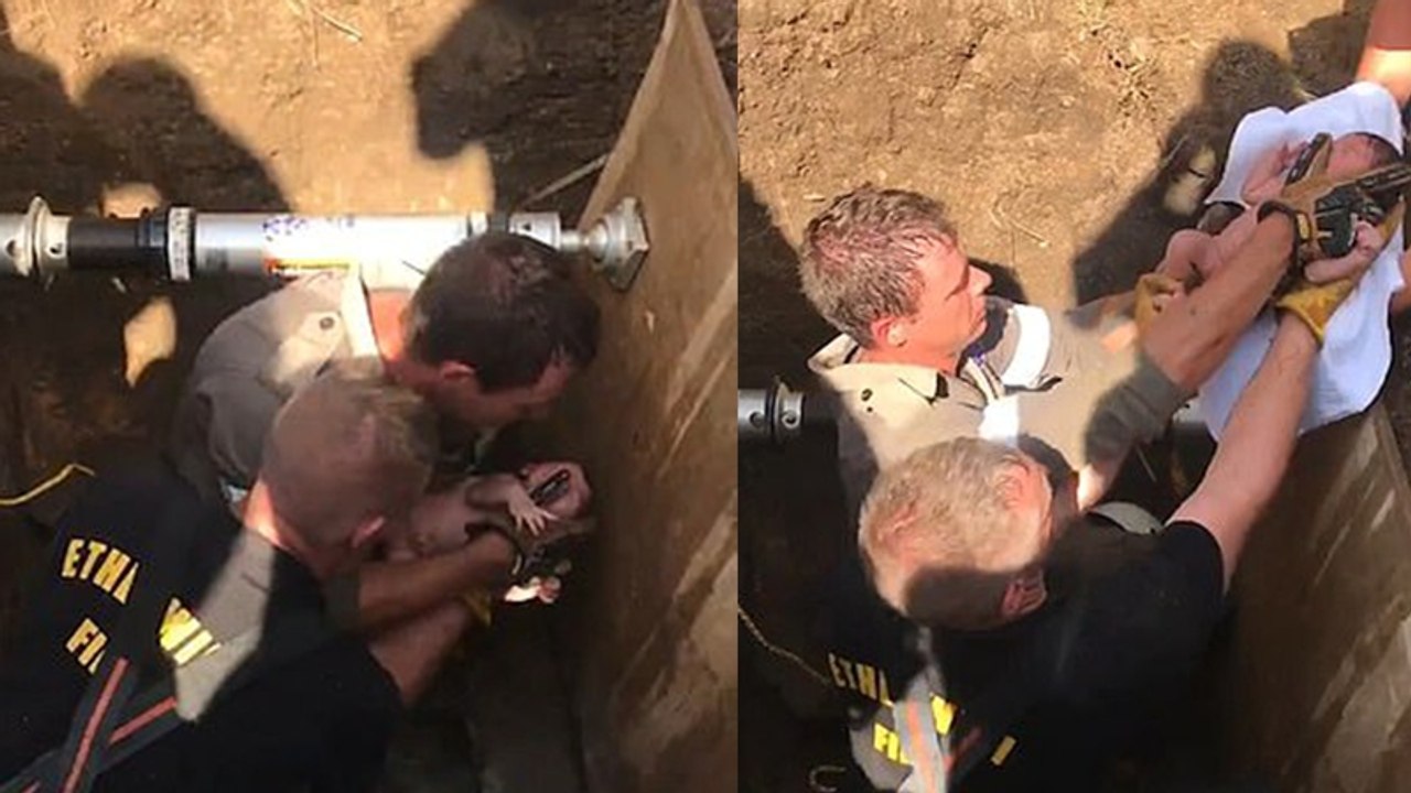 Passanten hören schreie aus der kanalisation: dann eilt die feuerwehr herbei