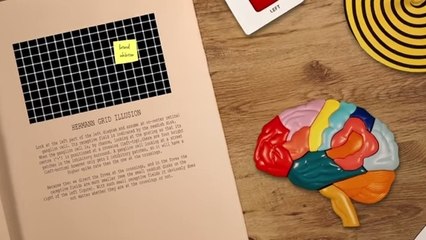 Comment les illusions d'optique piègent-elles notre cerveau ?