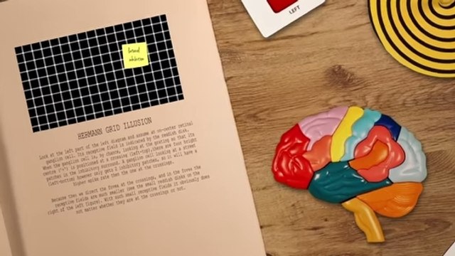 Comment les illusions d'optique piègent-elles notre cerveau ?
