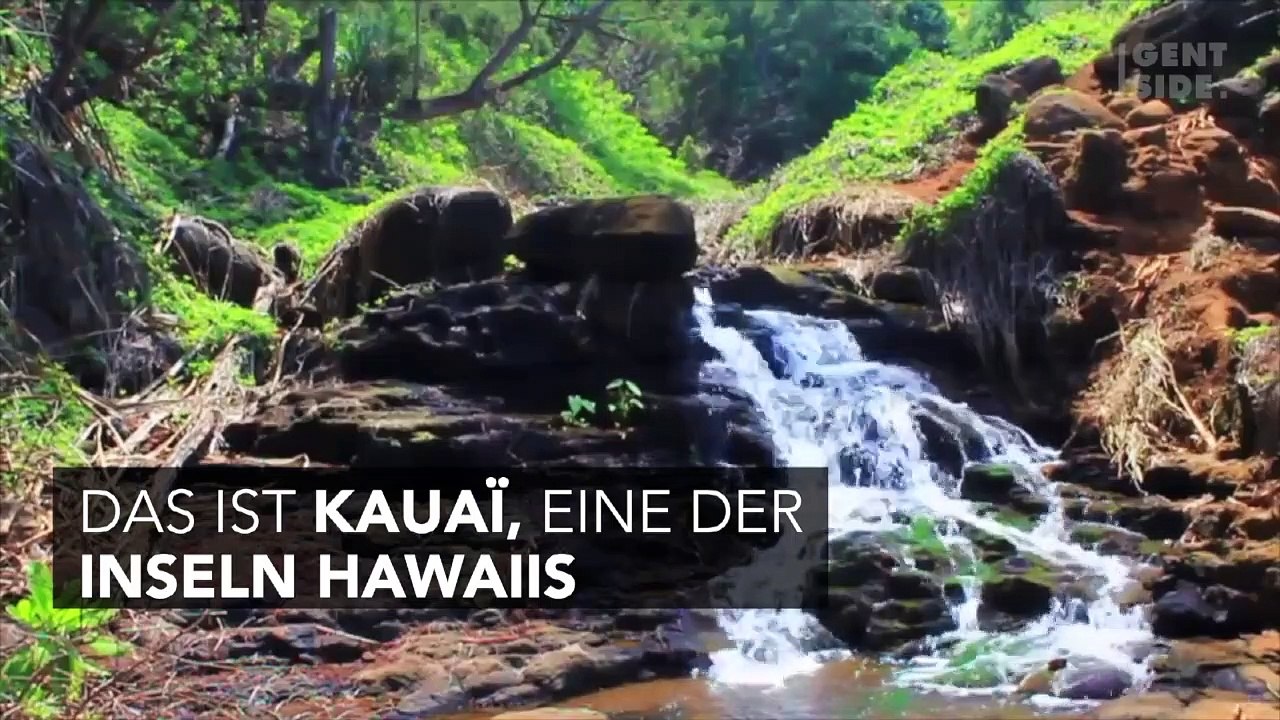 Der 'Pool of Death': Die gefährlichste Badestelle der Welt