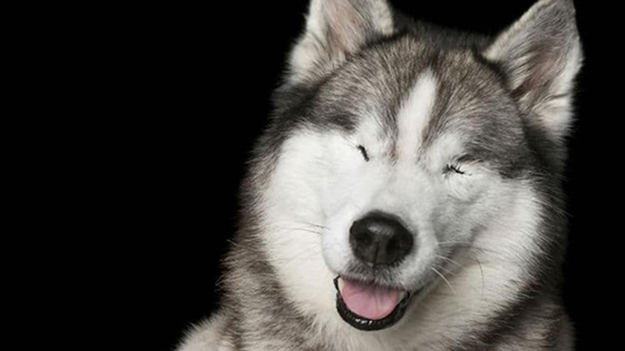 Fotografin mit Herz lichtet ganz besondere Tiere ab