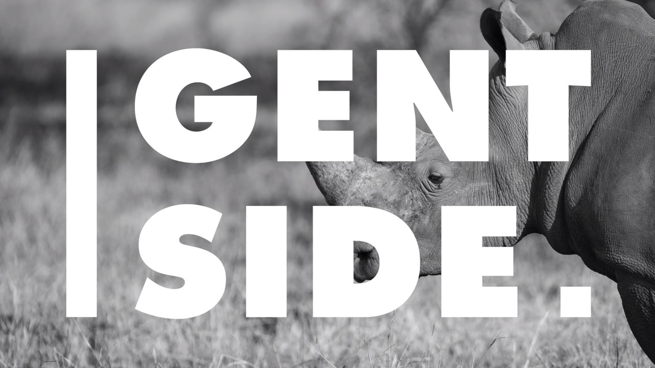 Zoopfleger fassungslos: Sie können nicht glauben, was Besucher mit einem Nashorn machen