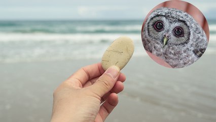 Sie sammelt Steine und verwandelt sie in lebendige Kreaturen