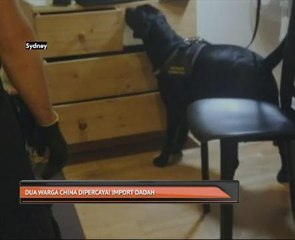 Dua warga China dipercayai import dadah