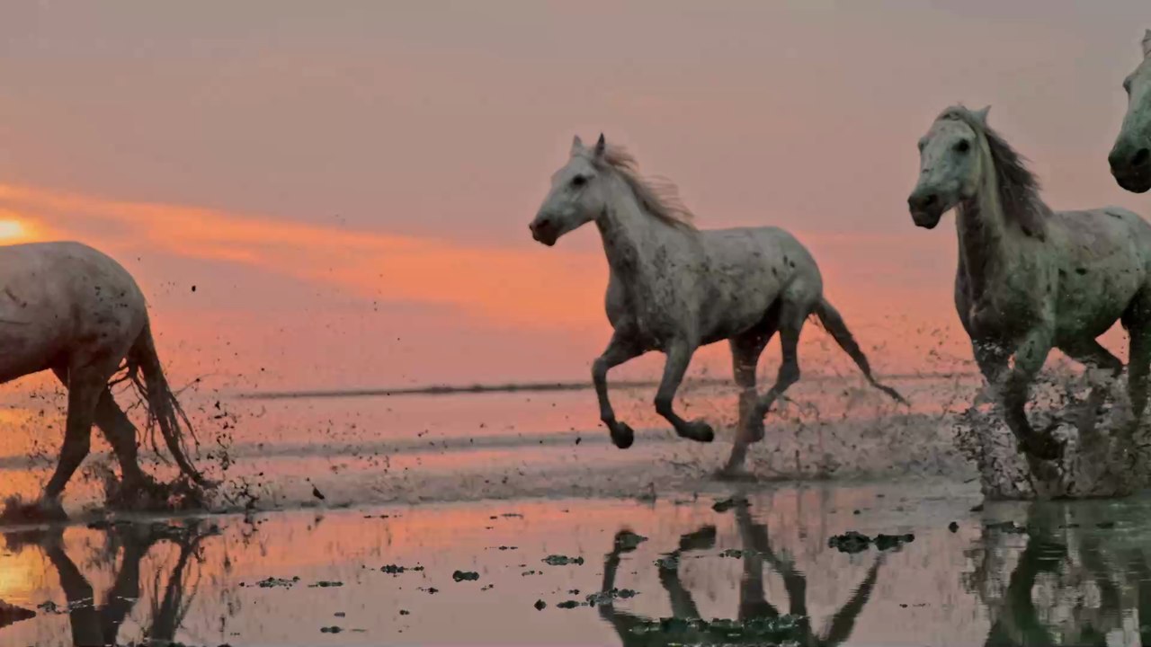 Bei Google arbeiten? Dann müsst ihr erst an dieser kniffligen Aufgabe vorbei