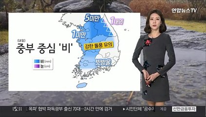 [날씨] 내일 대부분 지역 공기 탁해…중부 중심 '비'