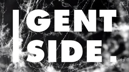 Darum ist Spinnenseide fünfmal solider als Stahl