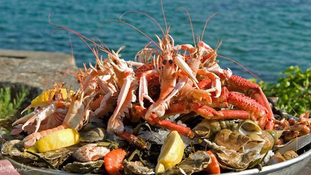 Studie enthüllt: Mikroplastik in beliebter sommerlicher Speise entdeckt