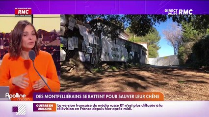 RMC s’engage pour vous : Des Montpelliérains se battent pour sauver leur chêne - 03/03
