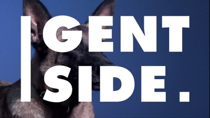 Geschlagen und gehetzt: Hund greift seinen eigenen Retter an