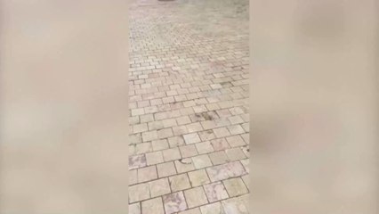 One Spanish fitness instructor is keeping morale high during the coronavirus lockdown