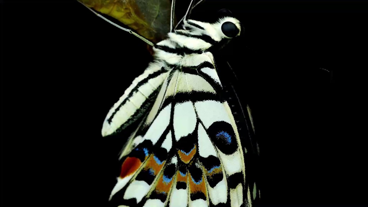 Genetische Uhr: DNA gibt Aufschluss über unsere Lebenserwartung