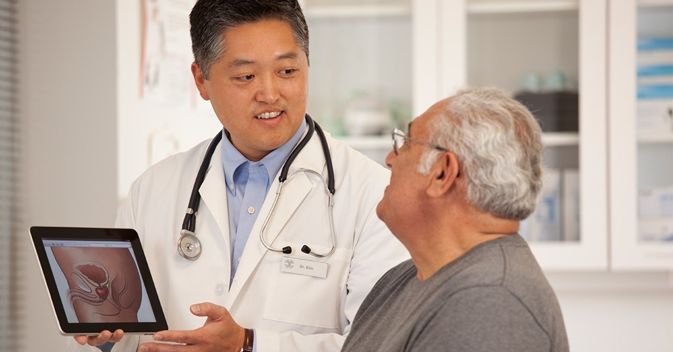 La prostate : définition, qu'est-ce que c'est et à quoi ça sert ?