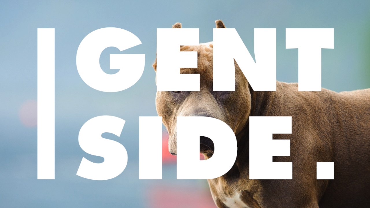 Ausgerechnet das Tier, vor dem sie sich am meisten fürchtet, rettet Frau das Leben