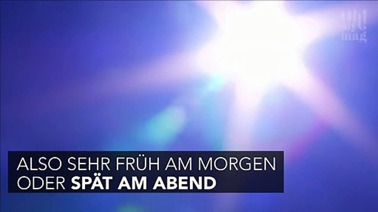 Tipps gegen die Hitze: Ein nasses Handtuch vorm Fenster rettet dich im Hochsommer!