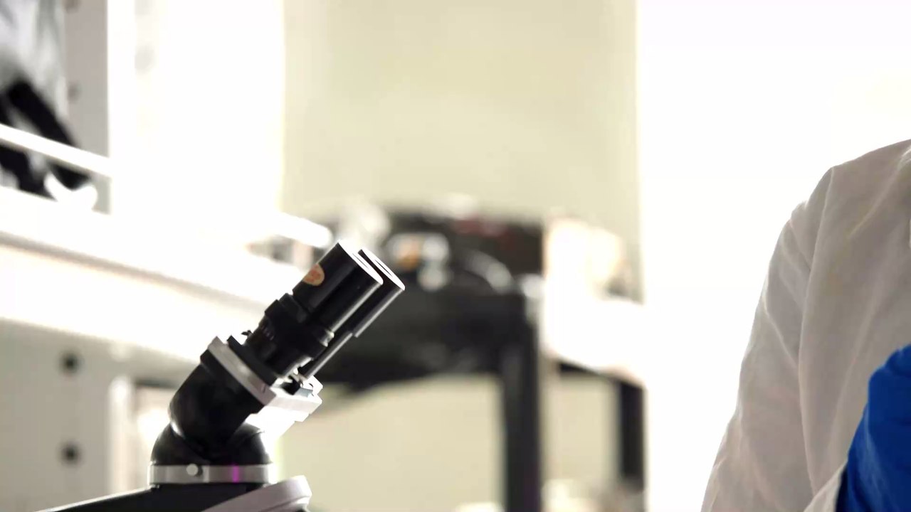 Mithilfe von Albatrossen soll jetzt der illegale Fischfang gestoppt werden