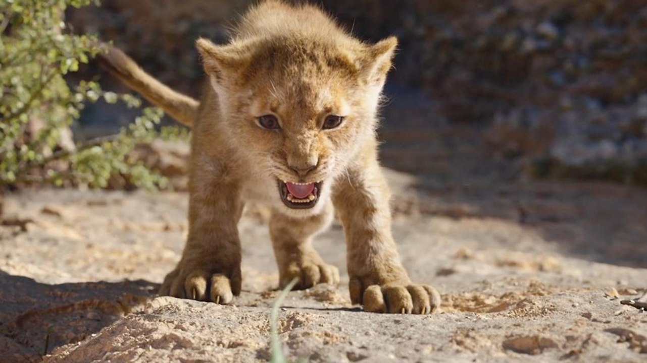 Welche Figur aus König der Löwen bist du laut deinem Sternzeichen?