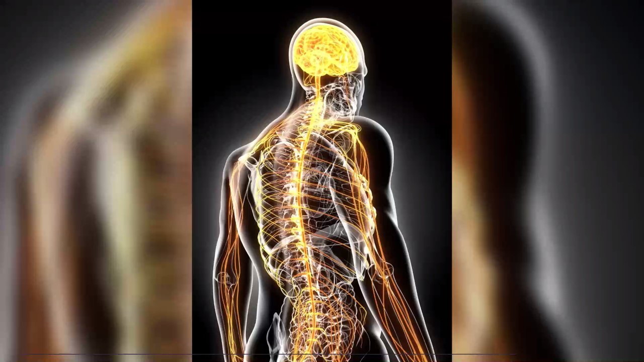 Eine bahnbrechende Methode lässt Nerven nachwachsen