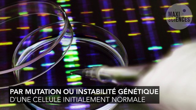 Cancer : définition, causes, types, qu'est-ce que c'est ?