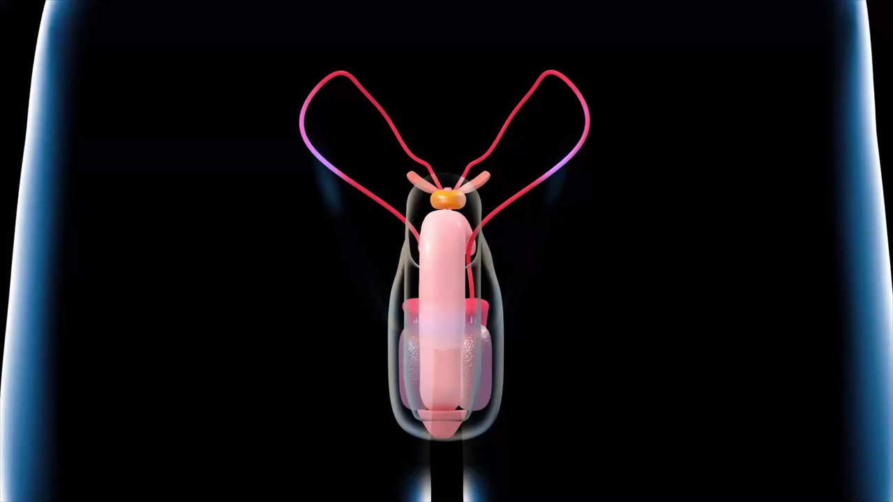 Flecken auf Eichel: Darauf können Veränderungen im Genitalbereich hindeuten