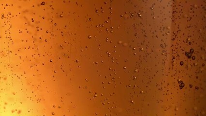 Frau wird Spenderorgan verweigert wegen positiven Alkoholtests: Doch die Ärzte irren sich