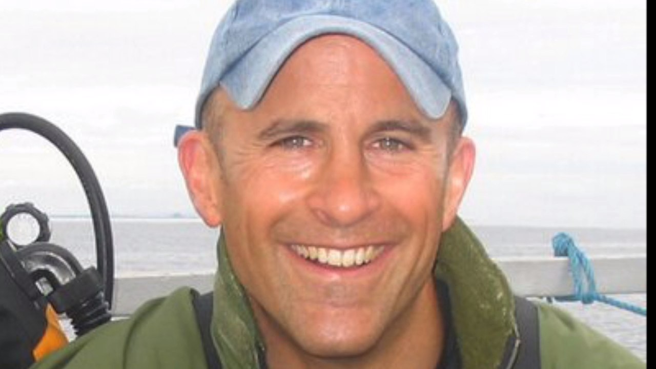 Britischer Taucher hält bewegende Szene fest: Tierische Begegnung im offenen Meer