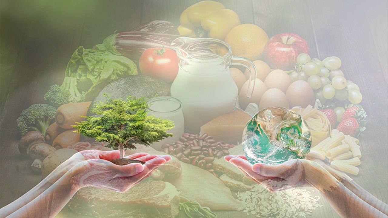 Mit diesem Ernährungsplan können wir unseren Planeten retten