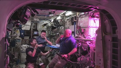 Les astronautes de l'ISS ont goûté la première "salade de l'espace"