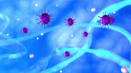 Forscher über Corona: "60 % der Weltbevölkerung könnten sich infizieren"