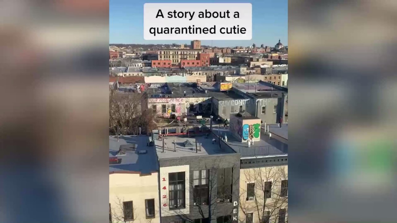 Confined to his house, this guy asks out a girl...
