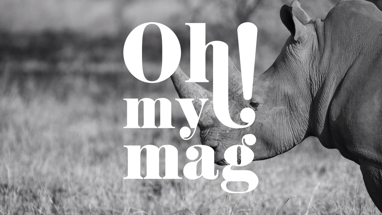 Zoo ist fassungslos: Besucher ritzen ihren Namen in den Rücken eines Nashorns