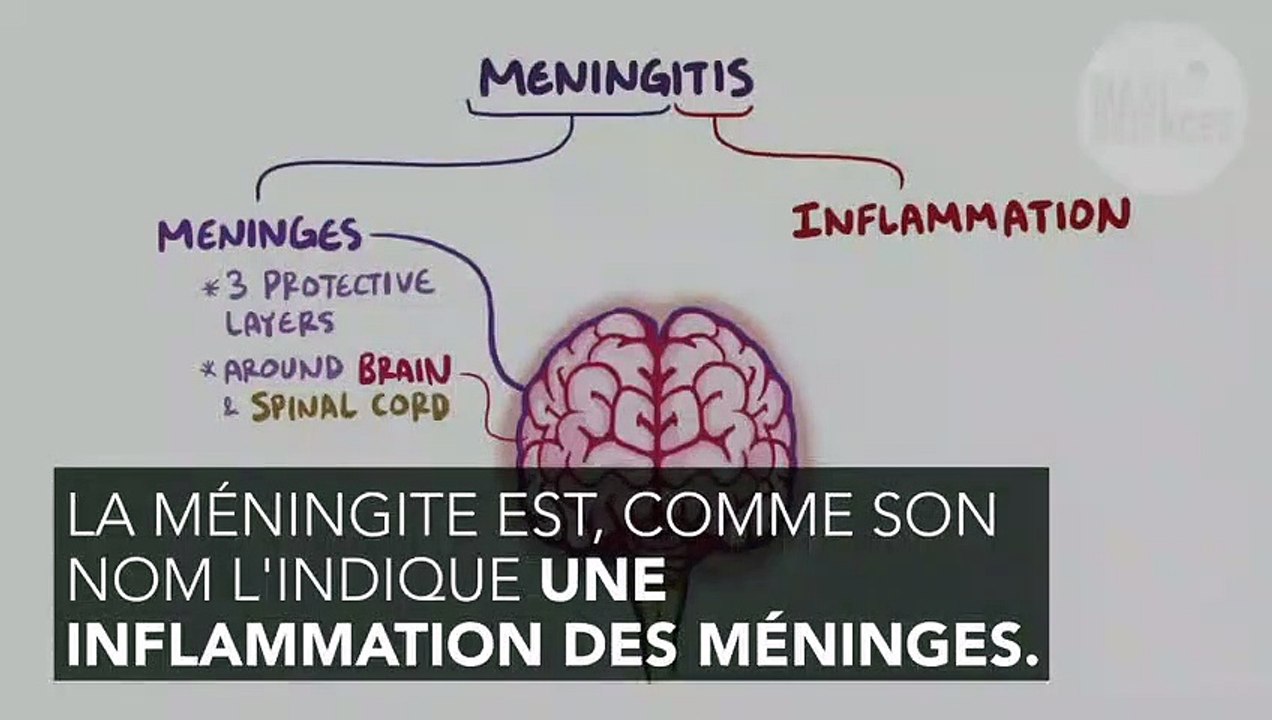 Méningite : symptômes, contagion, définition, traitement, qu'est-ce que ...