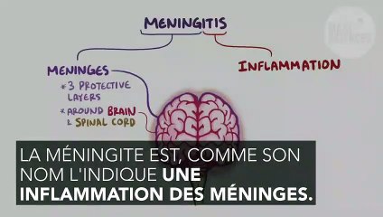 Méningite : symptômes, contagion, définition, traitement, qu'est-ce que c'est ?
