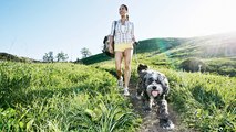 Nach Spaziergang mit Hund hat junge Frau plötzlich seltsame Zeichen auf ihren Beinen