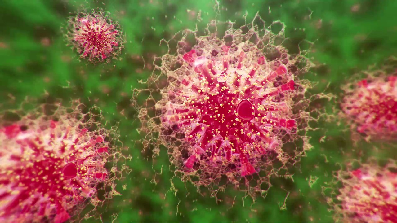 Das Coronavirus hat starke Auswirkungen auf das Liebesleben