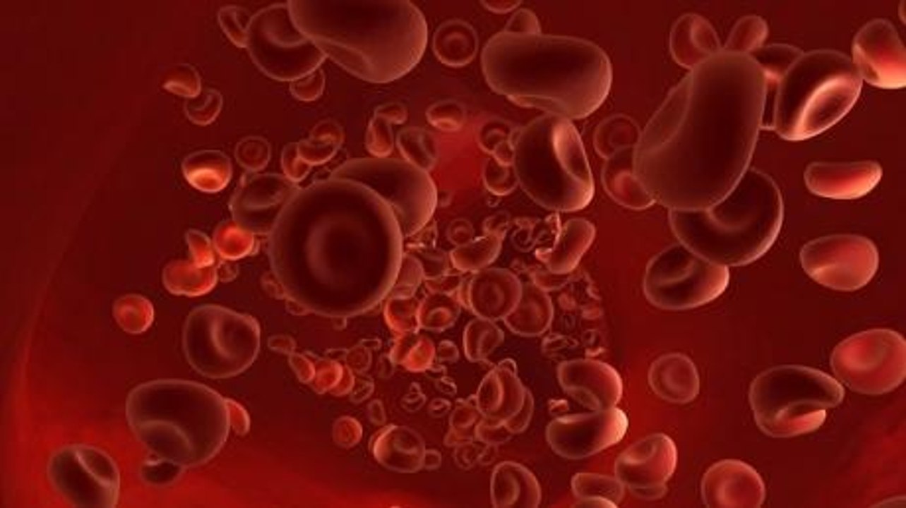 Groupe sanguin : ABO, rhésus, compatibilité, qu'est-ce que c'est ...