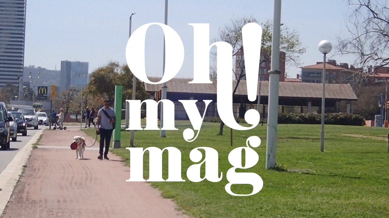 Chirurg warnt: Diesen Fehler machen viele Hundebesitzer beim Gassigehen