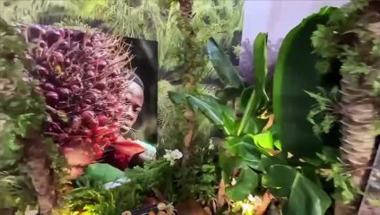 La boutique paysanne ivoirienne au Salon de l'agriculture