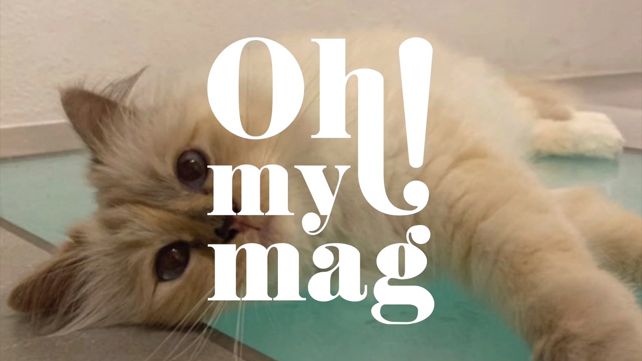 Karl Lagerfeld: Endlich gibt es Lebenszeichen seiner Millionenerbin Choupette