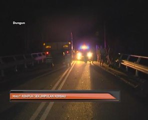 Maut rempuh sekumpulan kerbau