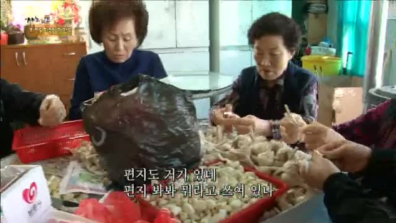 [휴먼다큐 사노라면 111회] 하숙집 할머니들
