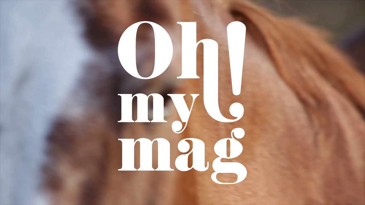 Nach Einschläferung: Fans finden abartig, was Reiterin mit ihrem Tier macht