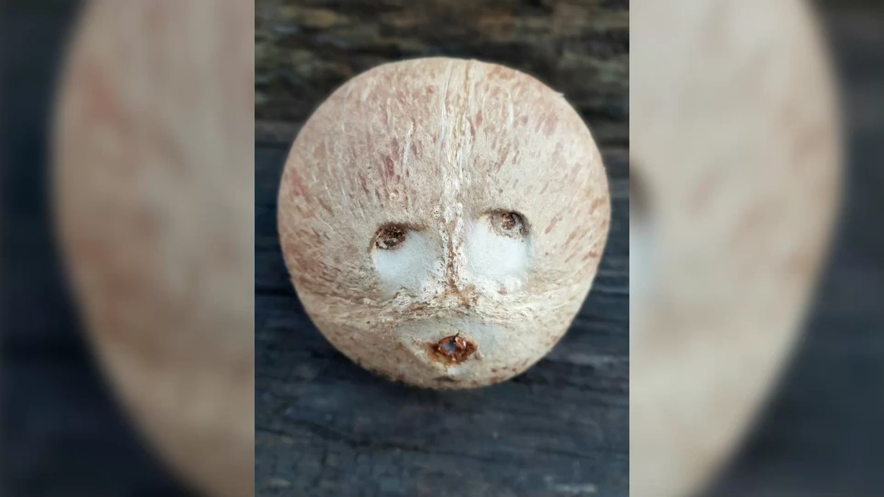 Paréidolie : quel est ce phénomène qui fait voir des visages n'importe où ?