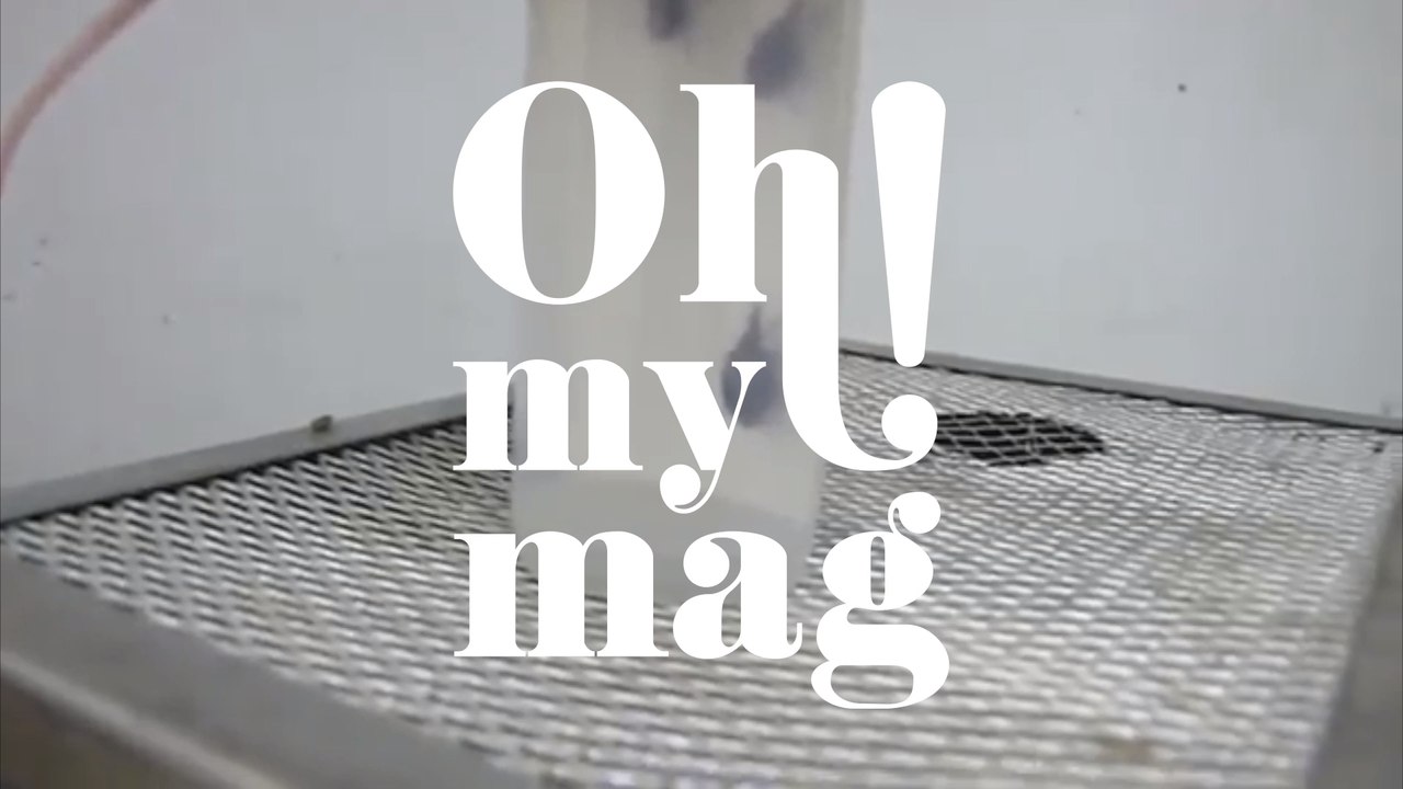 Gefahr für Kinder: Ein einziger Stich von dem Insekt kann zu Herzversagen führen