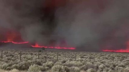 Waldbrände in Kalifornien: Mann filmt unglaublichen Feuertornado (VIDEO)