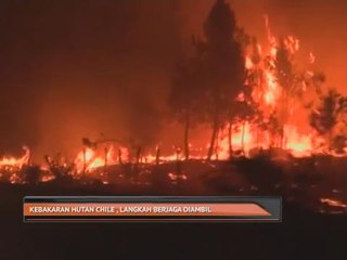 Kebakaran hutan di Chile, langkah berjaga diambil