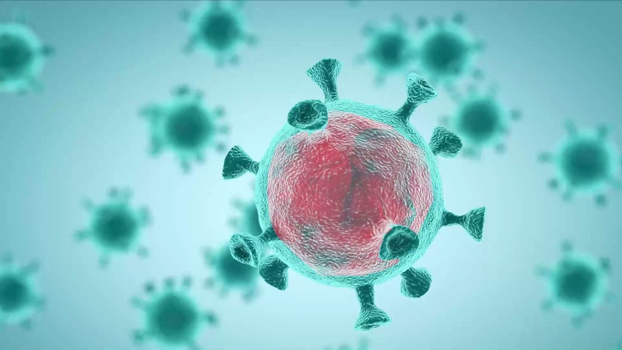 WHO schlägt Alarm: Eine Millionen Corona-Neuinfektionen in nur einer Woche