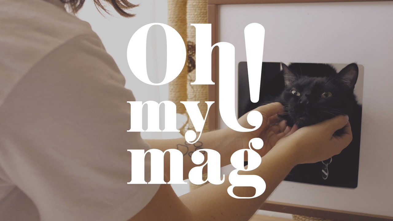 Zwei von drei Menschen verbringen lieber Zeit mit ihrer Katze als mit Freunden. Und ihr?