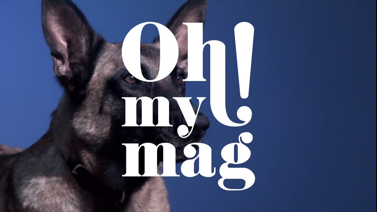 Vom Tierquäler zum Mörder: Wissenschaftler sehen Zusammenhang zwischen Straftaten